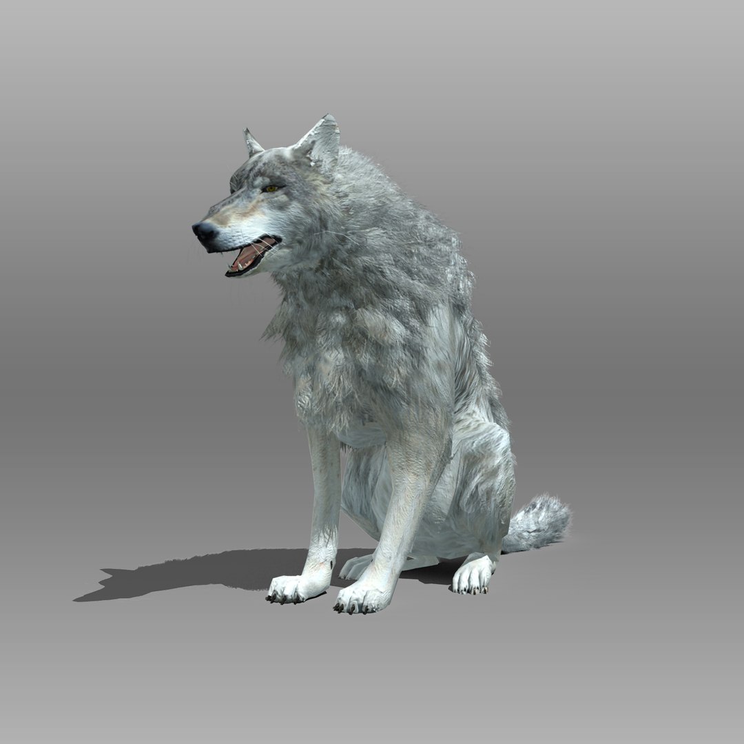 3ds max timber wolf animations https://p.turbosquid.com/ts-thumb/rg/s4g77L/dZkYT25p/greywolf_5/jpg/1505316101/1920x1080/fit_q87/9ba658bb09f7b4bf146b9e768f86040d11a08ed7/greywolf_5.jpg