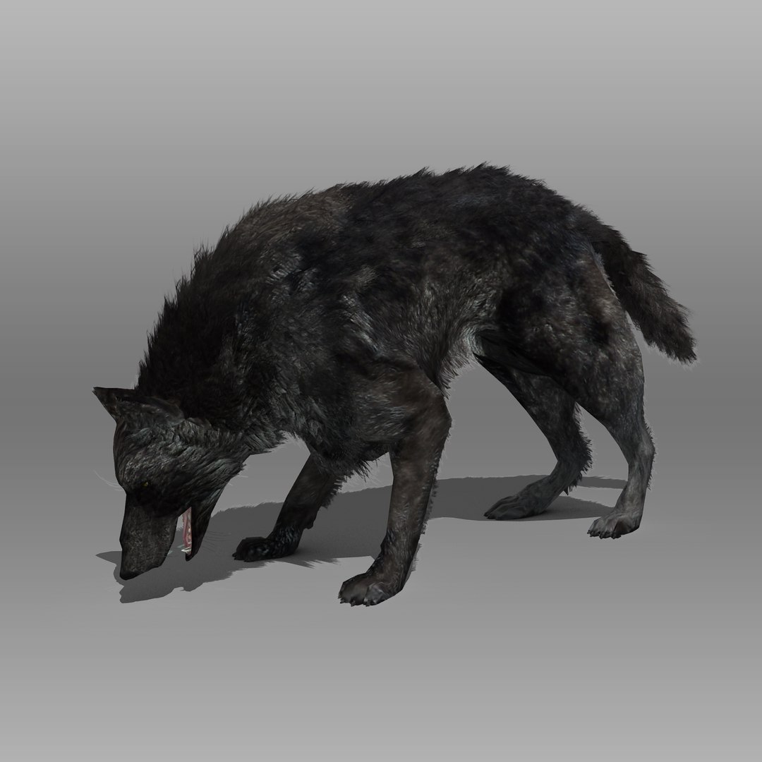 3ds max timber wolf animations https://p.turbosquid.com/ts-thumb/rg/s4g77L/jznSMcSY/blackwolf_2/jpg/1505316100/1920x1080/fit_q87/4147267f31df5cfc0c9d6a0dfc886e94d9d289ec/blackwolf_2.jpg