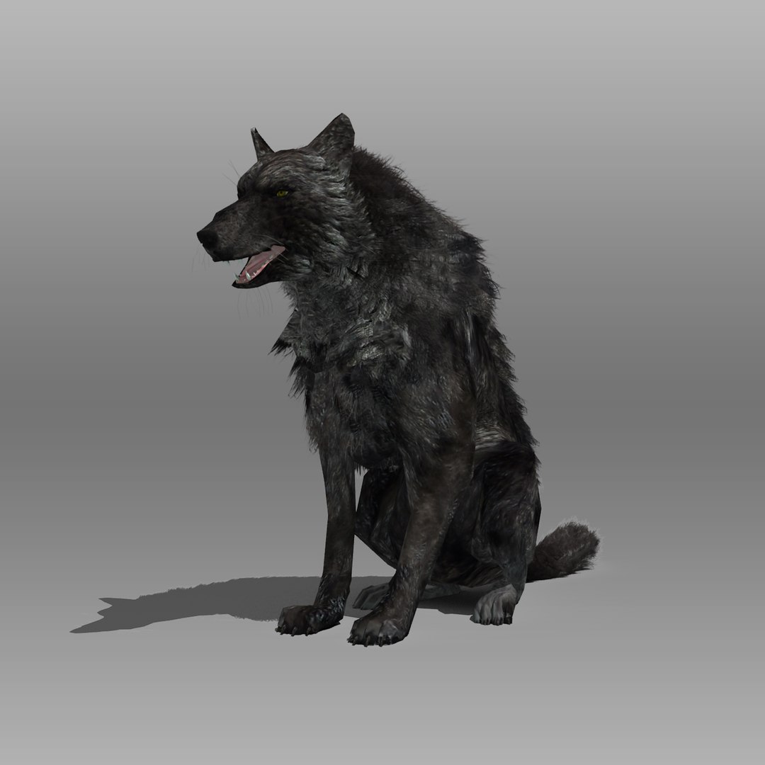 3ds max timber wolf animations https://p.turbosquid.com/ts-thumb/rg/s4g77L/vZV6lD2Q/blackwolf_5/jpg/1505316101/1920x1080/fit_q87/9abfd054881d8e1b15b5d818712c17de2eb791df/blackwolf_5.jpg