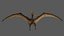 Pteranodon Longiceps Rigged
