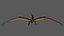 Pteranodon Longiceps Rigged
