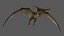 Pteranodon Longiceps Rigged