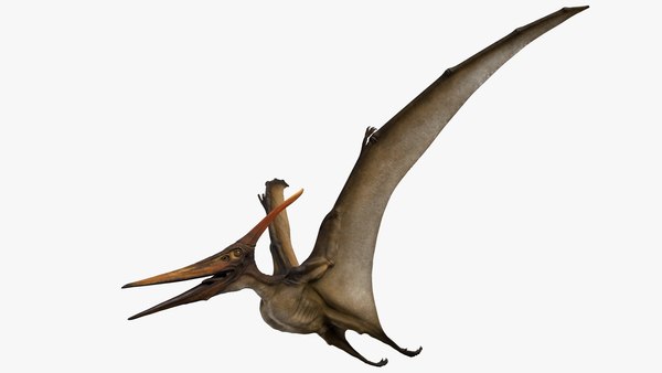 3d Rigged Pteranodon Longiceps - Turbosquid 1519330