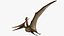 Pteranodon Longiceps Rigged