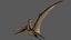 Pteranodon Longiceps Rigged