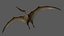 Pteranodon Longiceps Rigged