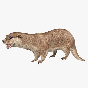 3D Otter model