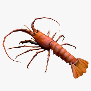 Animated lobster shrimp