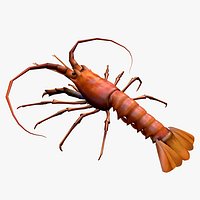 Animated lobster shrimp