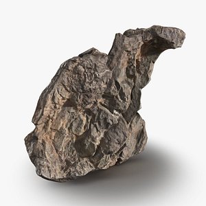 Essential Scanned Rock 22 StemCell 3D model