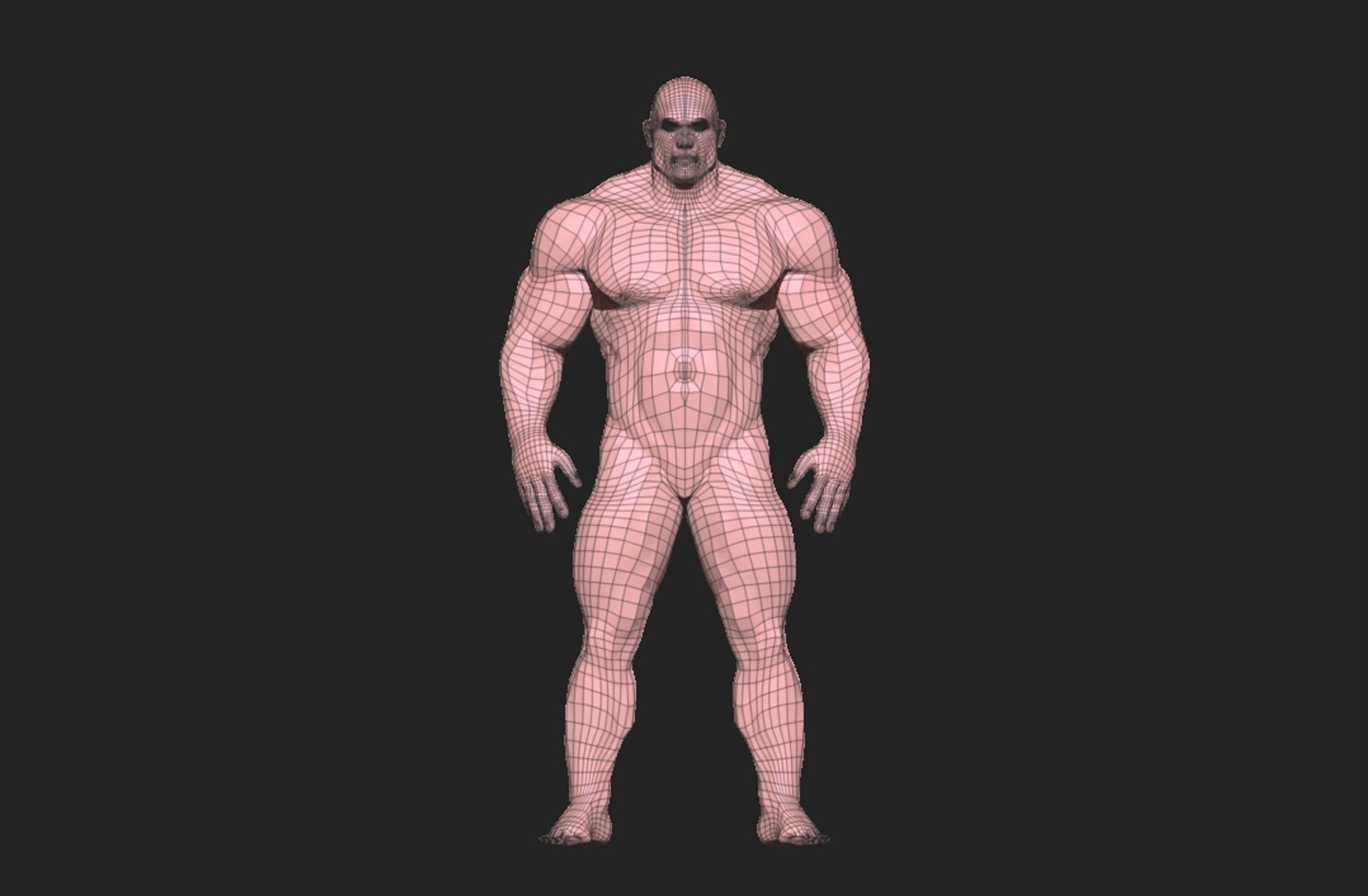 Bodybuilder Anatomy 3D Model - TurboSquid 1557784