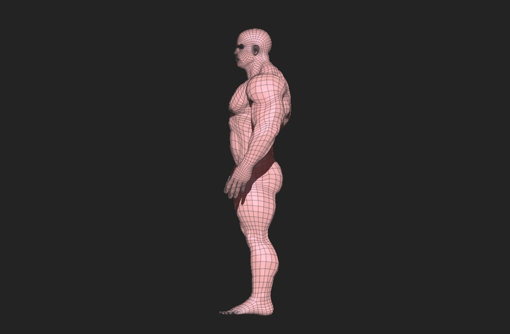 Muscular Man - Base Mesh 3D model