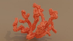 3xPack Corals Gold Fish and Dolphin 3D model
