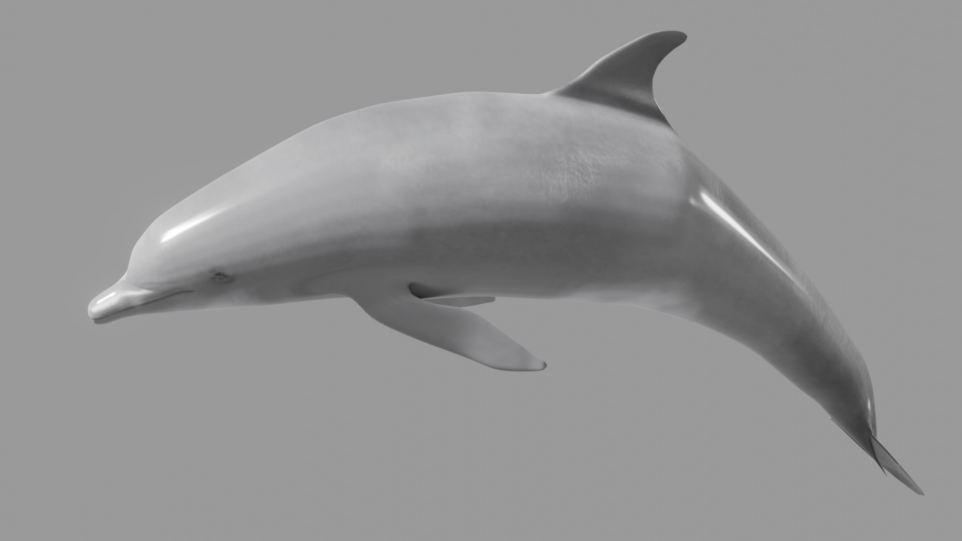 3xPack Corals Gold Fish and Dolphin 3D model https://p.turbosquid.com/ts-thumb/rh/9Nv8DB/ET/1/png/1678830121/1920x1080/fit_q87/d5709529f161be140a99ecc282a155a18598c4f9/1.jpg