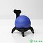 GAIAM_CLASSIC BALANCE BALL CHAIR