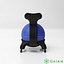 GAIAM_CLASSIC BALANCE BALL CHAIR