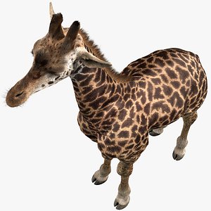 realistic giraffe fur 3D model