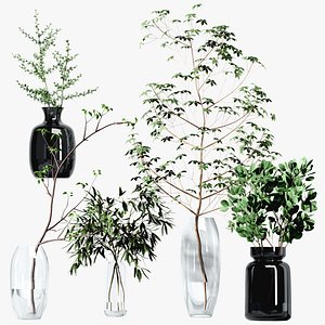 A set of branches in vases 3D