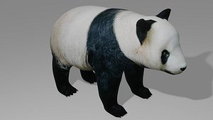 Panda OBJ 3D