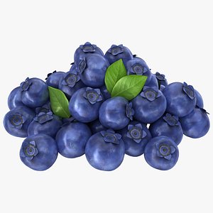 3D realistic blueberries pose 2