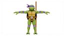 TMNT Donatello Cartoon