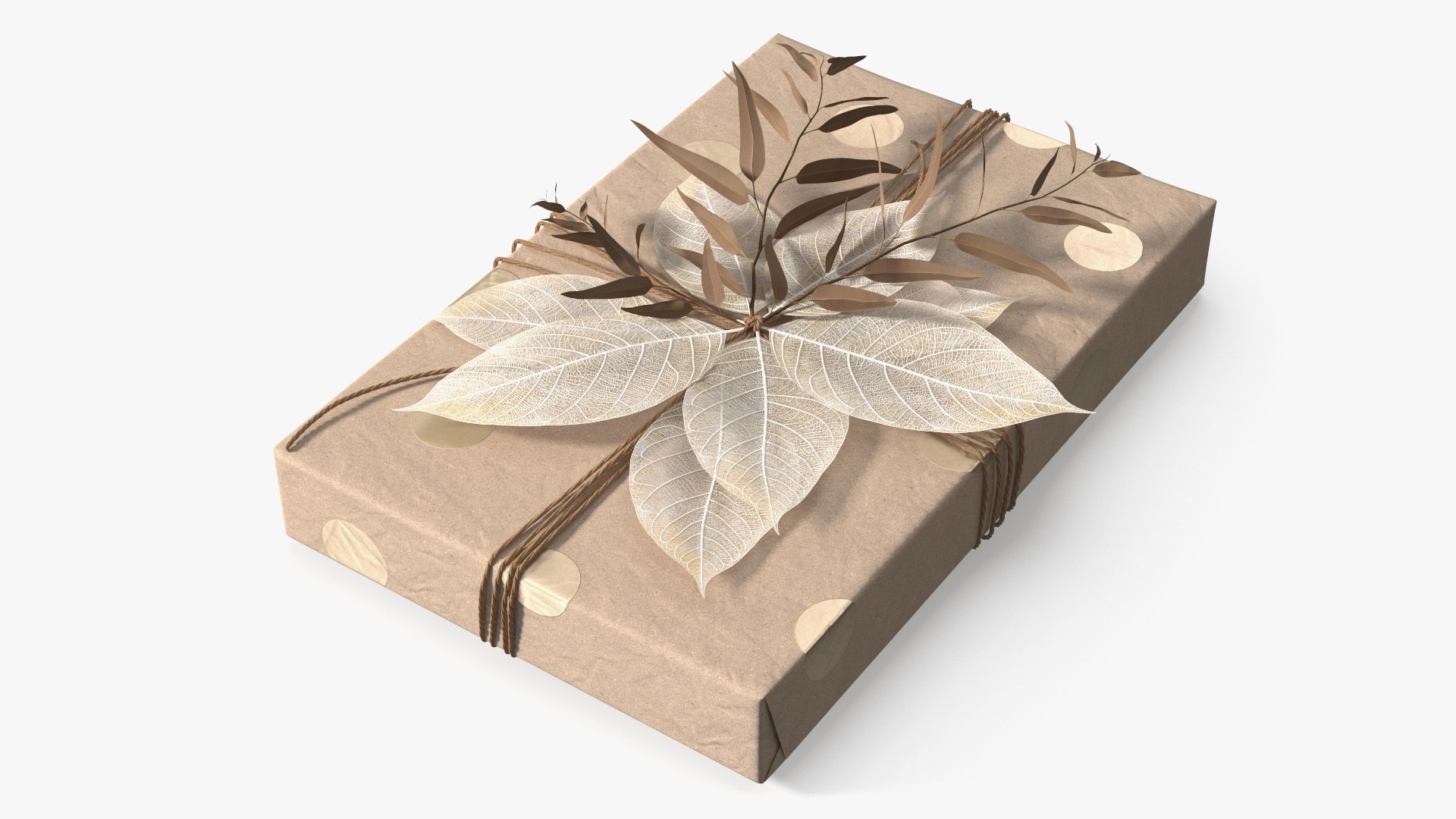 Gift Box with Dried Leaves Brown 3D model preview