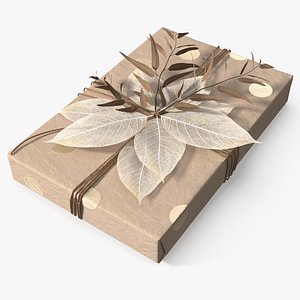 Gift Box with Dried Leaves Brown model