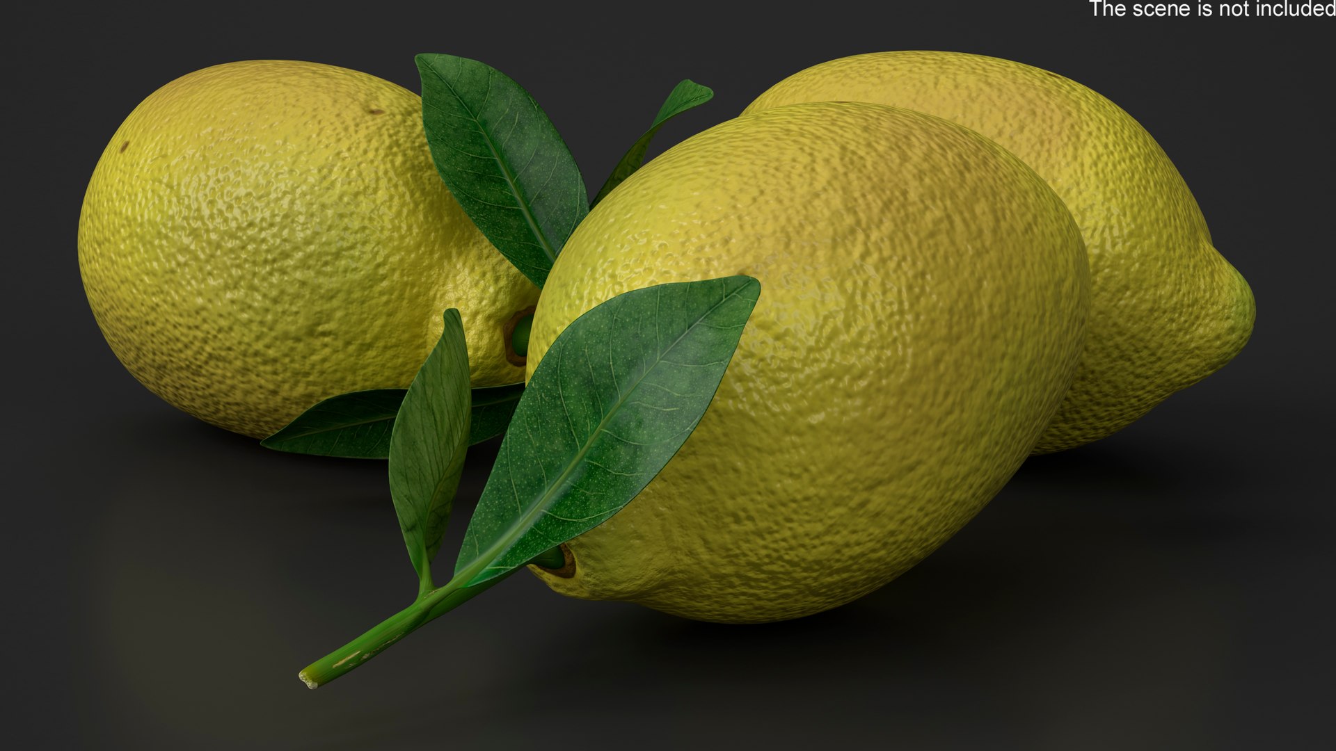 3D Realistic Lemon with Leaf model https://p.turbosquid.com/ts-thumb/rh/yHYO5C/2l/realisticlemonwithleafmb3dmodel005/jpg/1718229405/1920x1080/fit_q87/558a573f0cfe3498a3265f346560307243f6c2d3/realisticlemonwithleafmb3dmodel005.jpg