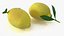 Citron réaliste avec feuille