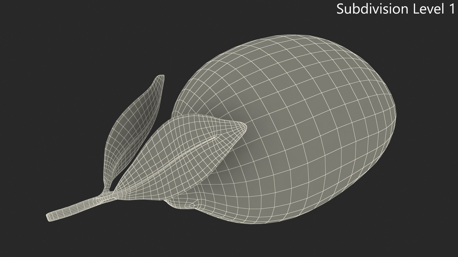 3D Realistic Lemon with Leaf model https://p.turbosquid.com/ts-thumb/rh/yHYO5C/jv/realisticlemonwithleafmb3dmodel015/jpg/1718229467/1920x1080/fit_q87/6b470d1bb49d00056dd256c7565e381b888587e9/realisticlemonwithleafmb3dmodel015.jpg