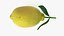 Citron réaliste avec feuille