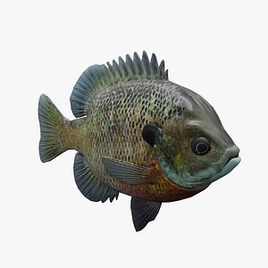 FishBluegill