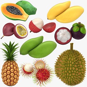 Thai Fruit Collection