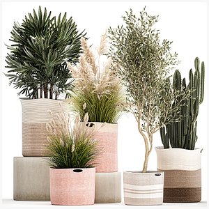 Ornamental plants in fabric baskets for decoration 1093 3D