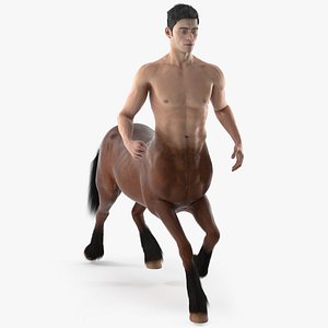 Male Centaur Walking Pose Fur 3D model