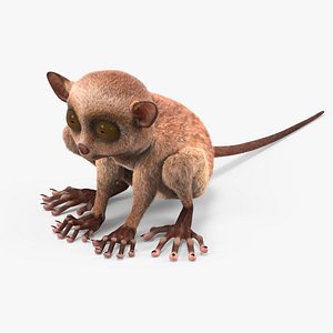 3D Tarsier Fur for Maya model