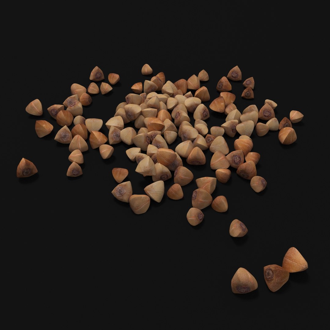 3D cereals seeds model https://p.turbosquid.com/ts-thumb/ri/c1YQE2/NuITtVYm/1/jpg/1534950146/1920x1080/fit_q87/018a299f14260b92b1e0c79bddaa29e0f008f49d/1.jpg