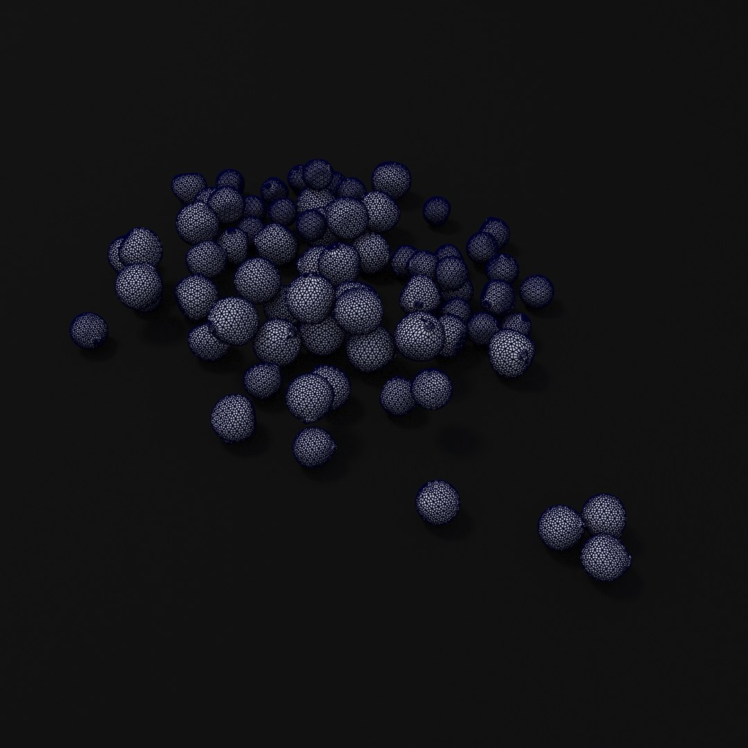 3D cereals seeds model https://p.turbosquid.com/ts-thumb/ri/c1YQE2/VMOrmpf3/12/jpg/1534950253/1920x1080/fit_q87/39ffb0f19fc6e86cd99585f83aa874213d5ce518/12.jpg