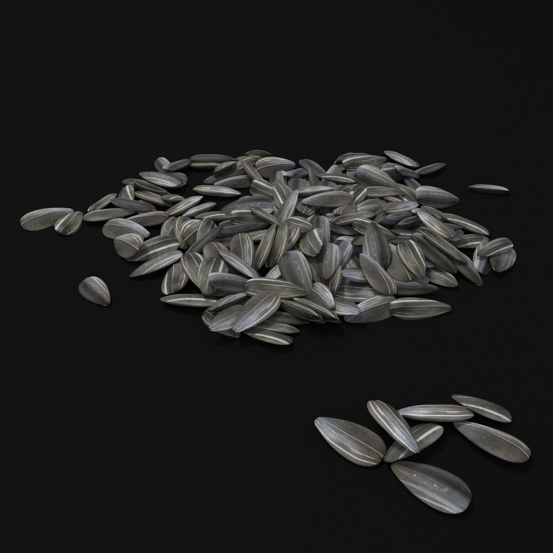 3D cereals seeds model https://p.turbosquid.com/ts-thumb/ri/c1YQE2/ZhgwiBZr/9/jpg/1534950253/1920x1080/fit_q87/799e6ac4a1e26bc925f6e9f4d655d1775871a5f7/9.jpg