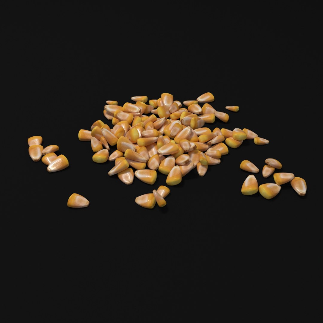 3D cereals seeds model https://p.turbosquid.com/ts-thumb/ri/c1YQE2/cAqg2Ba2/7/jpg/1534950146/1920x1080/fit_q87/58e531e49496e881527d586cf0a592ca2b438800/7.jpg