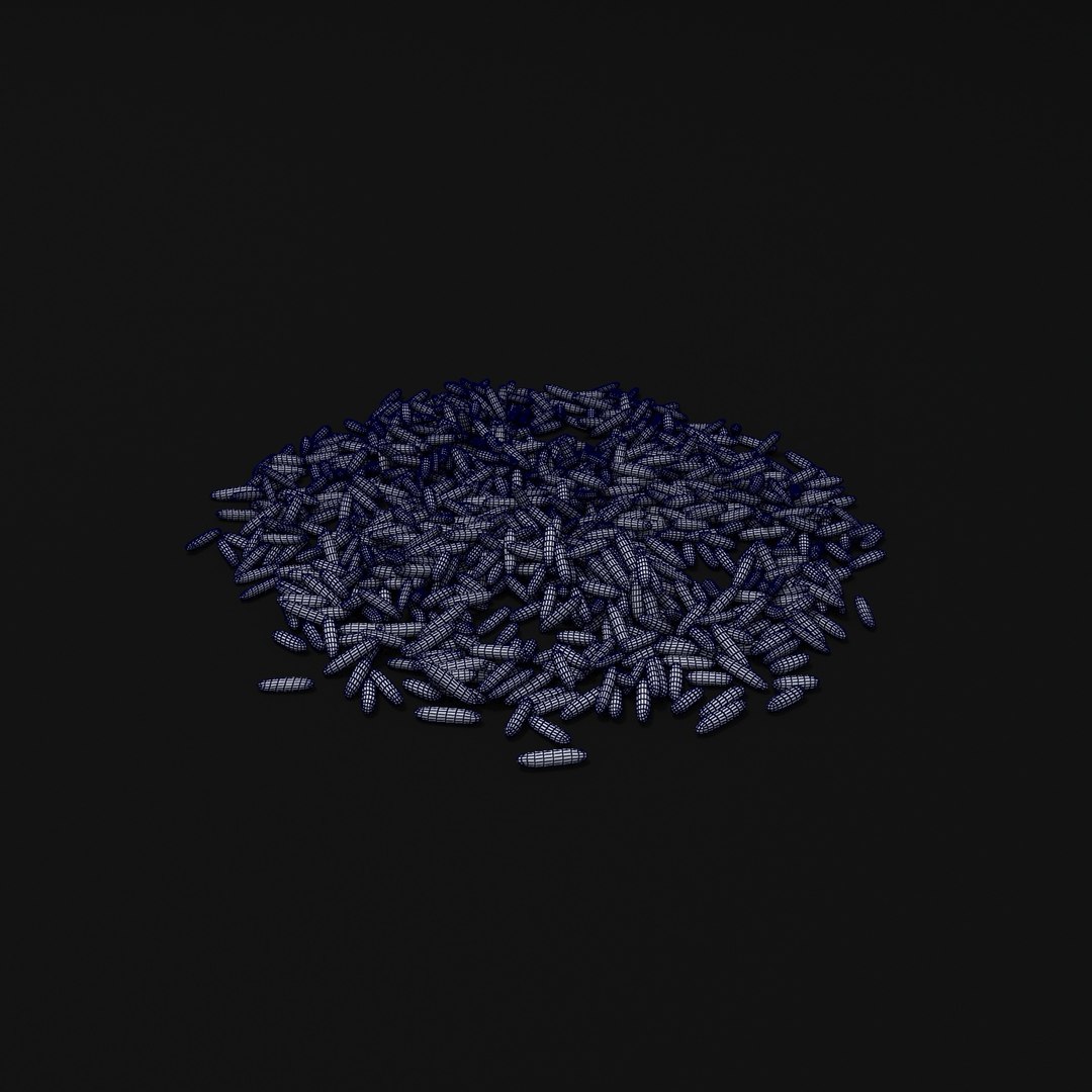 3D cereals seeds model https://p.turbosquid.com/ts-thumb/ri/c1YQE2/gFysHLoN/6/jpg/1534950146/1920x1080/fit_q87/4dd40ad4857c344688bfa957b98e48ffe532bbc2/6.jpg