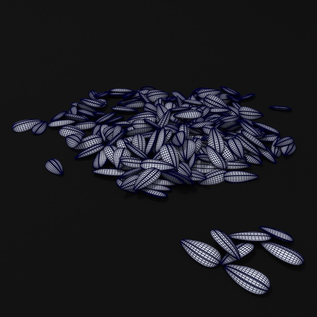 3D cereals seeds model https://p.turbosquid.com/ts-thumb/ri/c1YQE2/r61WUoRX/10/jpg/1534950253/1920x1080/fit_q87/f76c93743060c150407263b47459b204762f2a4b/10.jpg
