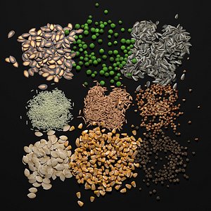 3D cereals seeds model