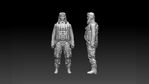 japan pilot 3D model
