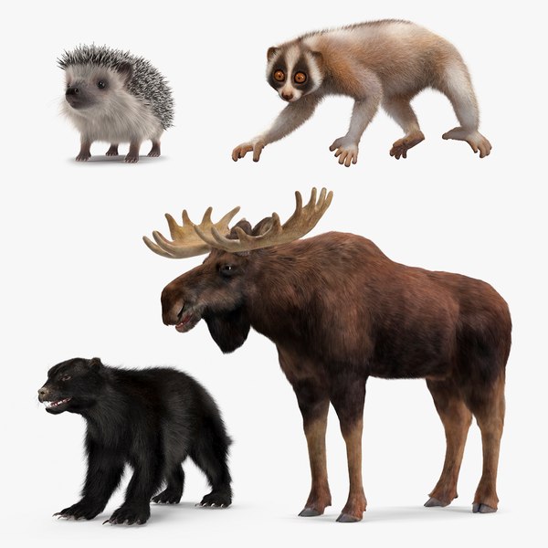 3D Land Mammals Fur Collection 2