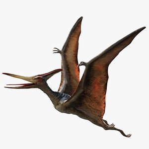 PteranodonRiggedAnimated 3D