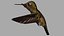 Hemmingbird OBJ 3D