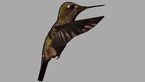 Hemmingbird OBJ 3D