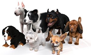 Dog Pack 3D model