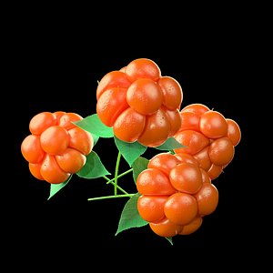 Ripe cloudberry